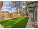 Inviting backyard featuring a well-maintained lawn, mature trees, and privacy fence at 6320 Dayton Ave, Las Vegas, NV 89107