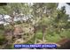 Scenic view from primary bedroom showcasing lush greenery, trees, and a glimpse of nearby houses at 7365 Mission Hills Dr, Las Vegas, NV 89113
