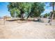 A large backyard view showing a fence, mature trees, and desert landscaping at 7960 Quarter Horse Ave, Pahrump, NV 89061