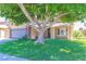 Beautifully landscaped front yard with a large shade tree at 1440 Rawhide Rd, Boulder City, NV 89005