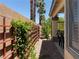 Paver pathway along backyard fence covered with greenery, leading to a covered outdoor dining area at 1800 Quail Point Ct, Las Vegas, NV 89117