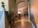 Hallway with colorful walls, tile flooring, and decorative plants leading to a bright and open living area at 1800 Quail Point Ct, Las Vegas, NV 89117