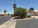 Serene neighborhood view featuring palm trees and well-maintained homes, conveying a peaceful atmosphere at 1800 Quail Point Ct, Las Vegas, NV 89117