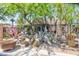 Landscaped front yard with cacti, rock features, and ornamental trees behind a secure wrought iron fence at 2825 Burnham Ave, Las Vegas, NV 89169