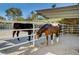 Two horses are in the corral and drinking from a water trough at 3189 Montecito Dr, Las Vegas, NV 89120