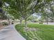 Picturesque park with mature trees, a paved walkway, and lush green grass, ideal for leisurely strolls at 3476 Ridge Meadow St, Las Vegas, NV 89135