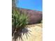 The backyard features a tall block wall, green shrubbery, and a mix of dry grass and sandy soil at 3660 Haverhill St, Las Vegas, NV 89121