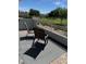 Outdoor patio seating overlooks a green space, providing a relaxing view and connection to nature at 3805 White Castle St, Las Vegas, NV 89129