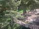 Peaceful pond surrounded by rocks and greenery, complemented by a well-maintained lawn at 4125 Tyrol Way, Las Vegas, NV 89124