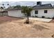 Spacious backyard with desert landscaping and potential for customization with a tree in the center at 4564 Dennis Way, Las Vegas, NV 89121