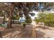 Spacious backyard with trees and walkway leading to a shed, perfect for outdoor activities at 5260 Styers St, North Las Vegas, NV 89031