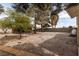 Expansive gravel backyard with mature trees, offering space for outdoor living and activities at 5260 Styers St, North Las Vegas, NV 89031