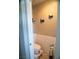 Powder Room features modern shiplap walls and turtle themed decor at 6141 Annville Ct, North Las Vegas, NV 89081