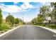 Street view showcasing the community's landscaped entryway with lush greenery along the paved road at 6228 Haiku Stairs St, Las Vegas, NV 89148