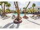 Community pool area surrounded by palm trees and lounge chairs, perfect for relaxation at 10010 Aspen Rose St # 102, Las Vegas, NV 89183