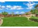 Expansive backyard with lush green lawn and mature landscaping, great for entertaining at 1185 Via Dimartini, Henderson, NV 89052