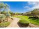 Community park featuring walking path, grass, trees, and bushes at 1185 Via Dimartini, Henderson, NV 89052
