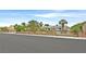 Landscaped home exterior with a metal gate, providing privacy to the property at 1595 E Camero Ave, Las Vegas, NV 89123