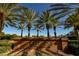 The Legacy Golf Club sign amidst palm trees welcomes you to this public restaurant and lounge at 2201 Ramsgate Dr # 327, Henderson, NV 89074