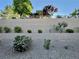 Landscaped backyard featuring rock, greenery, and perimeter walls at 2343 Scotch Lake St, Las Vegas, NV 89134