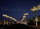 Palm tree lined entry at night to residential property in Las Vegas, NV at 4208 Agosta Luna Pl, Las Vegas, NV 89135