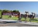 Desert Bighorn Sheep standing in front of the Hemenway Park sign in Boulder City, NV at 532 Greenbriar Pl, Boulder City, NV 89005