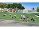 Gathering park with playground, covered picnic area, basketball court, and bighorn sheep in a tranquil setting at 532 Greenbriar Pl, Boulder City, NV 89005