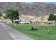 Big Horn Sheep graze on the lush green grass at the park entrance with mountain views at 532 Greenbriar Pl, Boulder City, NV 89005