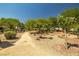 Serene community park featuring walking paths, lush greenery, and inviting landscaping at 5695 Merced St, Las Vegas, NV 89148