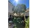 Serene backyard offering a lush lawn, mature tree providing shade, and a private fence, perfect for relaxation at 9082 Amanda Creek Ct, Las Vegas, NV 89149