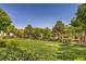 Well-maintained community grounds with lush greenery and mature trees at 10109 Jacob Pl # 203, Las Vegas, NV 89144