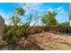 Well-maintained gravel backyard with drought-tolerant landscaping, trees, and serene outdoor living space at 10458 Gabaldon St, Las Vegas, NV 89141