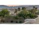 A backyard with lush greenery and a view of the city skyline and mountain range at 6999 Stone Meadows Ave, Las Vegas, NV 89142