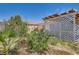 View of the covered patio with privacy trellis and desert landscaping at 821 Tollbrook Way, Henderson, NV 89011