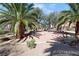 Lush common area with tall palm trees, enhancing the community's appeal and natural ambiance at 1312 Rawhide St, Las Vegas, NV 89119