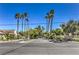 Community entrance with lush landscaping and palm trees for a welcoming feel at 2531 La Cara Ave, Las Vegas, NV 89121