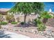 Front yard showcasing a large tree, decorative rock and desert landscaping at 5017 Kaibab Forest Ave, Las Vegas, NV 89141