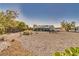 Well-maintained backyard featuring trees, drought-tolerant landscaping, gravel yard, and a house with light-colored siding at 6490 Wagon Wheel Ct, Pahrump, NV 89061