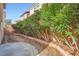Backyard featuring flowering bushes and decorative rock at 765 Jewel Tower St, Las Vegas, NV 89178