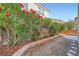Backyard featuring flowering bushes and decorative rock at 765 Jewel Tower St, Las Vegas, NV 89178