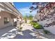 A private backyard features a covered kitchen area and manicured landscaping at 8437 Apple Hill Ct, Las Vegas, NV 89128