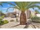Lovely home exterior with desert landscaping, a covered patio, and a mature palm tree in the front yard at 8437 Apple Hill Ct, Las Vegas, NV 89128