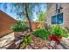 Landscaped yard showcasing lush greenery, decorative planters, and a serene outdoor setting at 10692 Tulip Valley Rd, Las Vegas, NV 89179