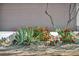 Charming front yard featuring an agave plant, bright red flowers, and desert landscaping at 10692 Tulip Valley Rd, Las Vegas, NV 89179
