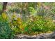 Colorful flowers adorn the landscaped areas around the property at 10692 Tulip Valley Rd, Las Vegas, NV 89179
