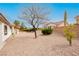 Spacious backyard with desert landscaping and mature tree at 10309 Georgetown Pl, Las Vegas, NV 89134