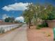 Scenic view of a paved walking path lined with mature trees and landscaping, ideal for recreation at 1405 Peyton Stewart Ct, North Las Vegas, NV 89086