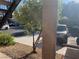 Exterior shot of a parking lot area with view of car and landscaping at 5576 W Rochelle Ave # 13A, Las Vegas, NV 89103