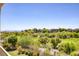 Stunning view of golf course and lush greenery, perfect for relaxing and enjoying the outdoors at 11503 Glowing Sunset Ln, Las Vegas, NV 89135