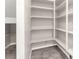 Walk-in pantry with adjustable shelving for optimal storage and organization at 11847 Corenzio Ave, Las Vegas, NV 89138